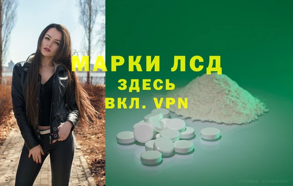 винт Абаза