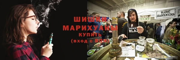 винт Абаза