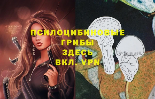 ешки Абинск