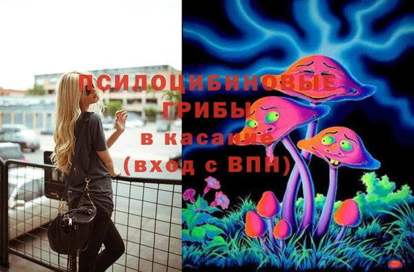 спиды Абдулино