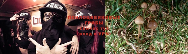 спиды Абдулино