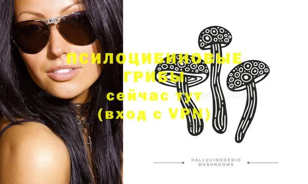 ешки Абинск