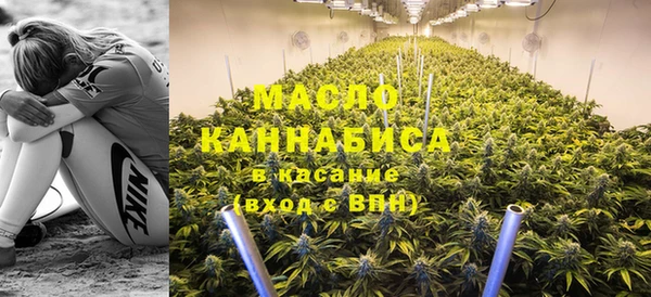 винт Абаза