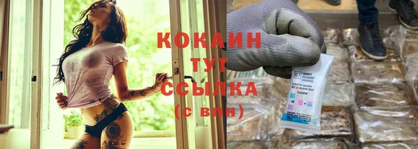 винт Абаза