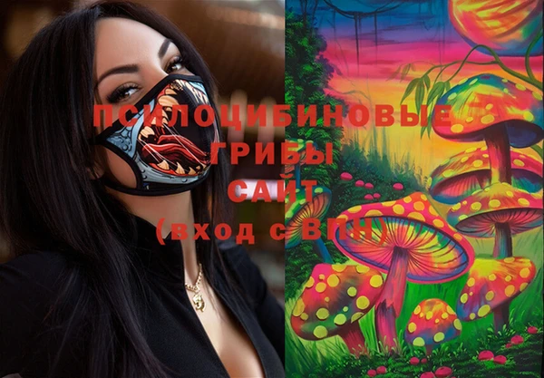 винт Абаза