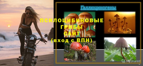 ешки Абинск