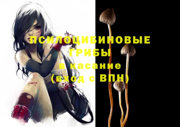 винт Абаза